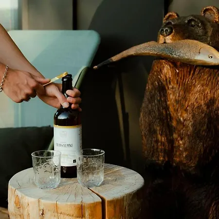 Ecolodge Acm Vue Et Bain Nordique * Talloires
